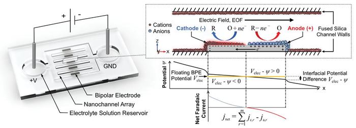 Bipolar Electrode Flow — Electrochemistry & induced-charge flow at confined bipolar electrodes