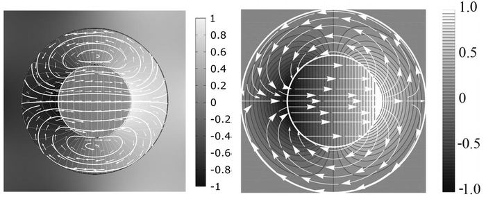 Hele-Shaw Cell Flow Patterning — Electroosmotic flow patterning in microfluidic Hele-Shaw cells